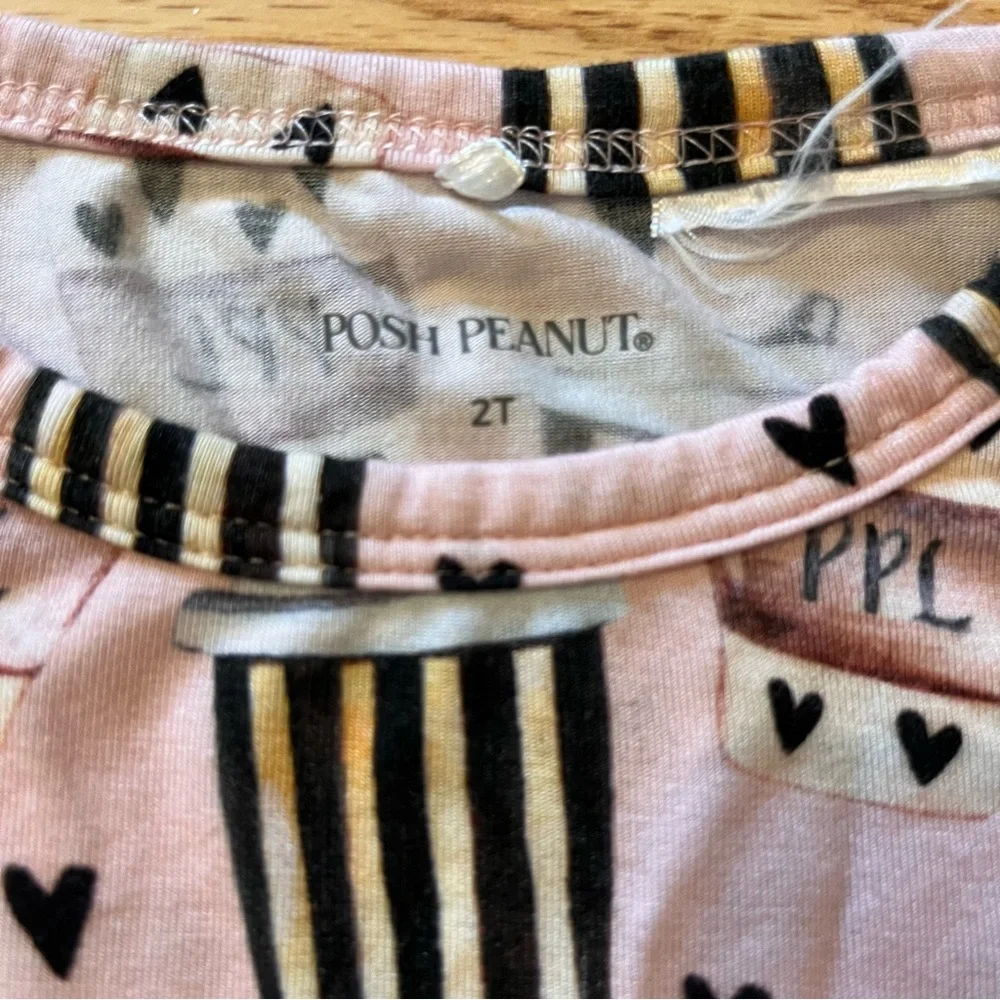 Posh Peanut PPL (Posh Pumpkin Latte) Twirl Bodysuit Dress Size 2T